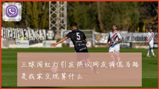 三球闯红灯引发热议网友调侃马路是我家交规算什么